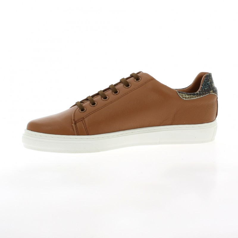 Cuir Ambiance Chaussures World Baskets Camel TOqqFw1P5