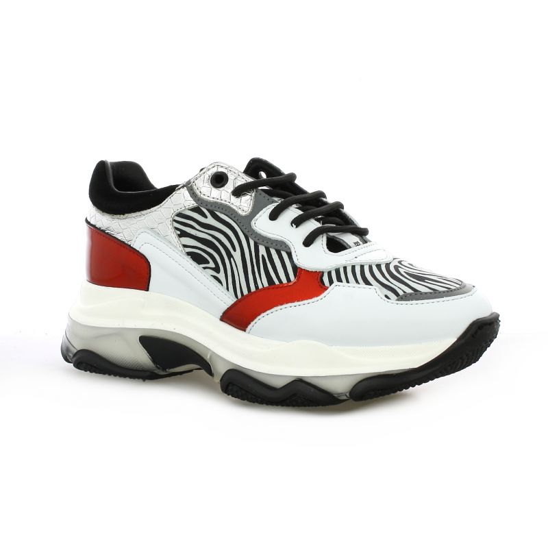 roobin's chaussures